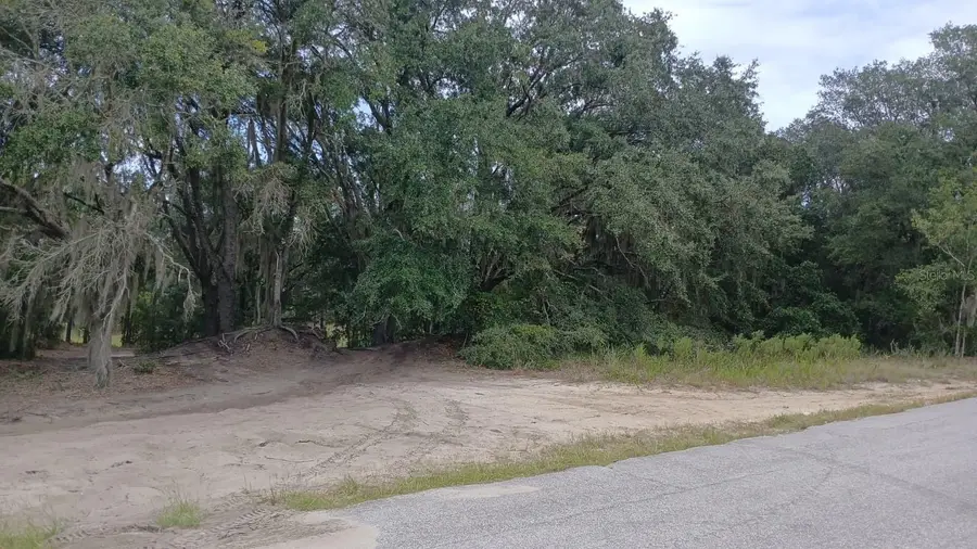 SE Malauka Loop Run Road, Ocklawaha, FL 32179 - #3