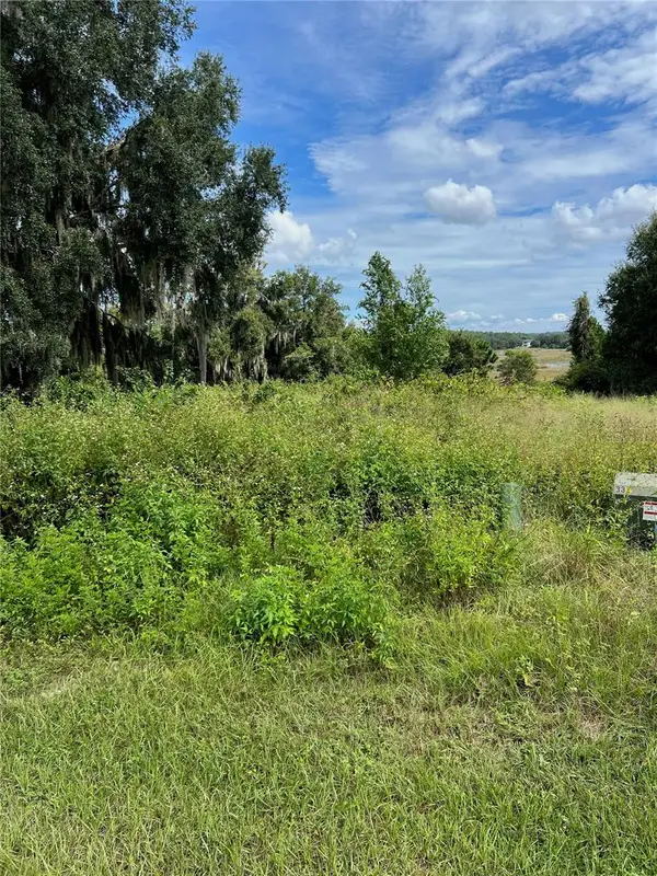 475 Long And Winding Road, HOWEY IN THE HILLS, FL 34737