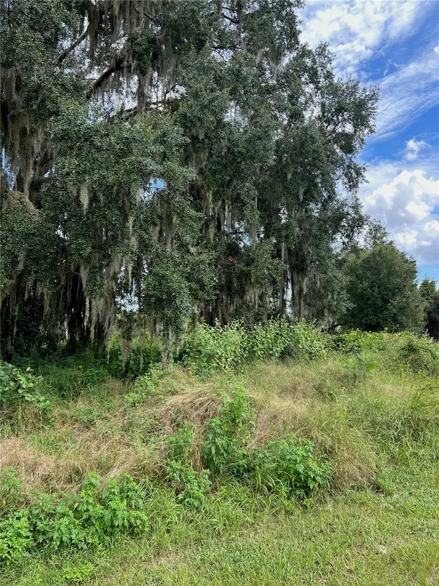475 Long And Winding Road, Howey In The Hills, FL 34737 - #2