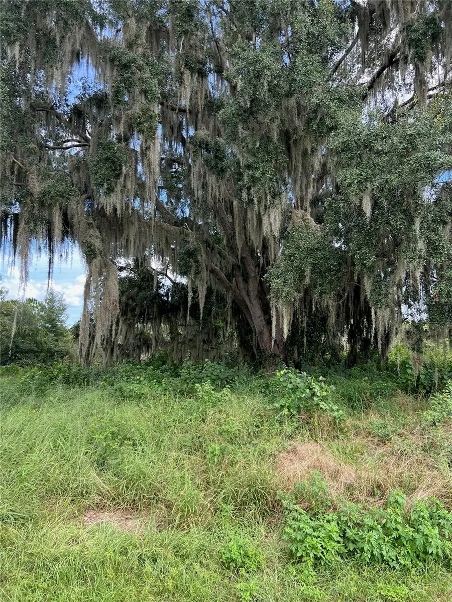 475 Long And Winding Road, Howey In The Hills, FL 34737 - #3