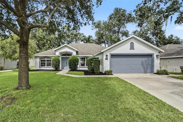 10427 Pleasant View Drive, LEESBURG, FL 34788
