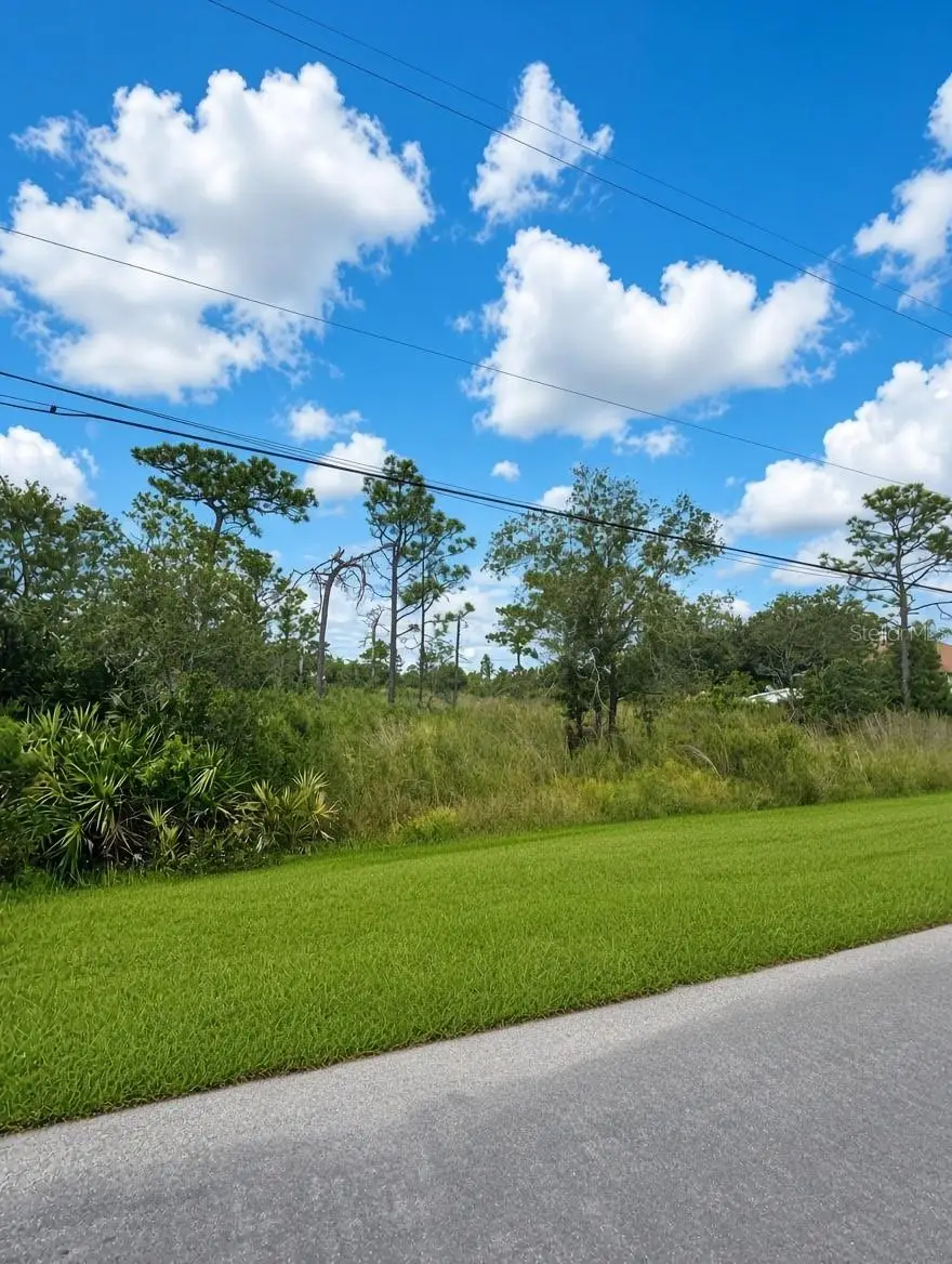 00 Nettleton Street, Orlando, FL 32833 - #3