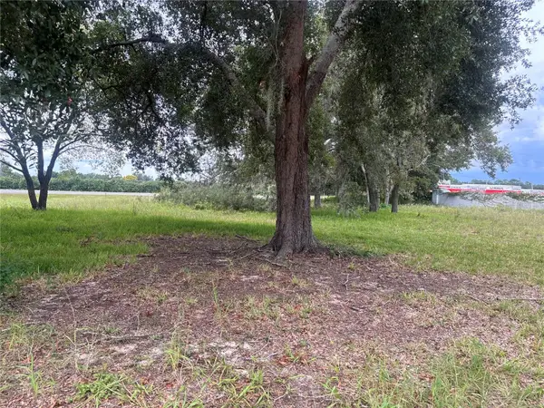 State Road 19, TAVARES, FL 32778