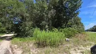 4284 Cr 575, Bushnell, FL 33513 - #2