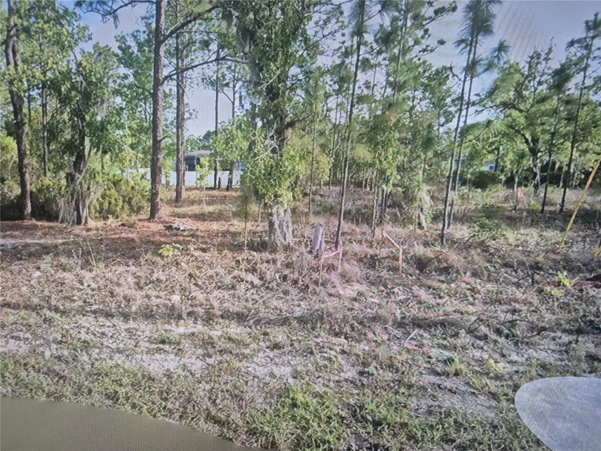 2651 W Bravura Drive, Citrus Springs, FL 34433 - #1