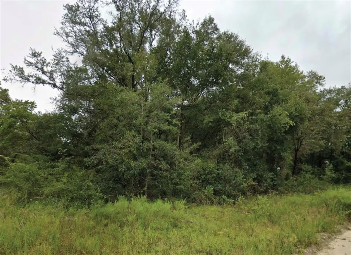 NE 2nd Place, Williston, FL 32696 - #1