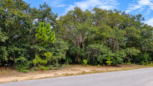 TBD SE Malauka Loop Run Road, OCKLAWAHA, FL 32179