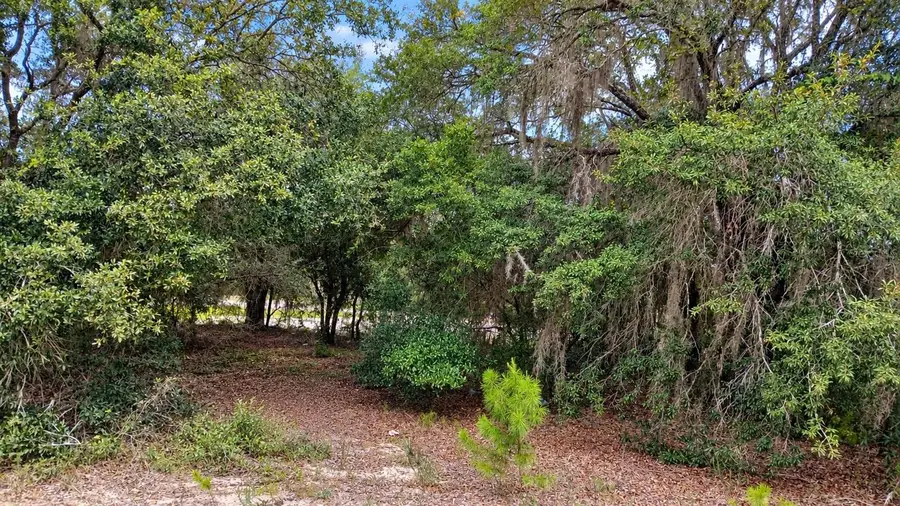 TBD SE Malauka Loop Run Road, Ocklawaha, FL 32179 - #3