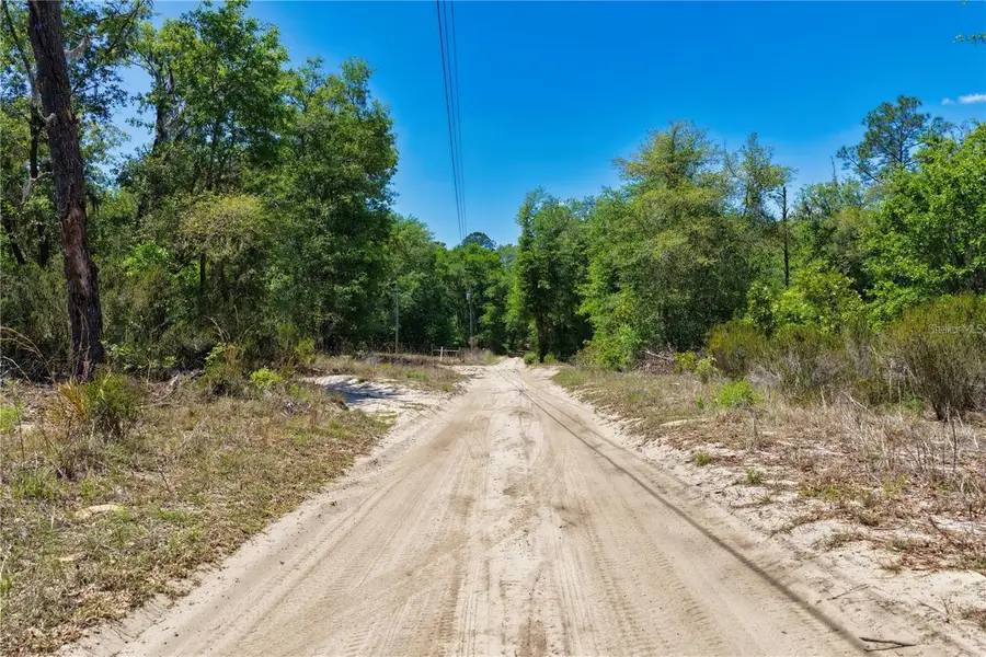 125 Street, Bronson, FL 32621 - #2