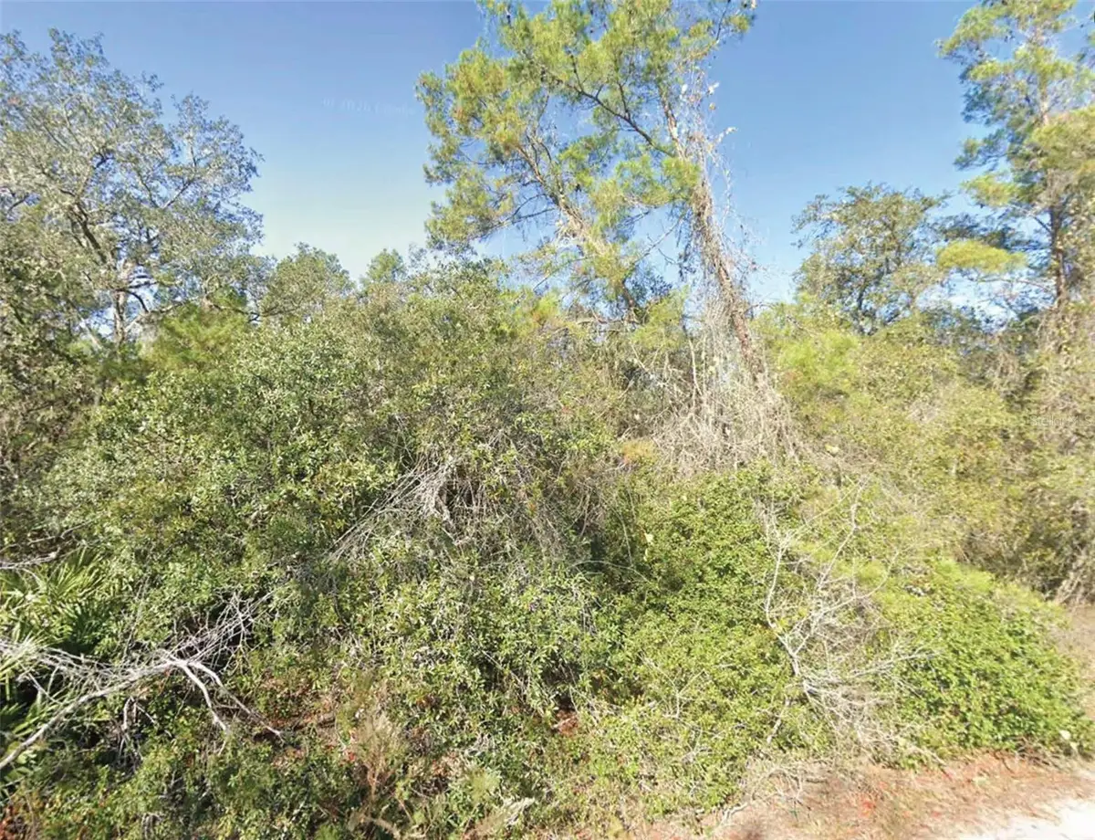 Fisher Trail, Ocklawaha, FL 32179 - #1