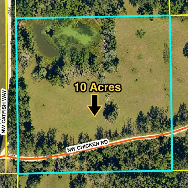 NW Chicken Road, MADISON, FL 32340
