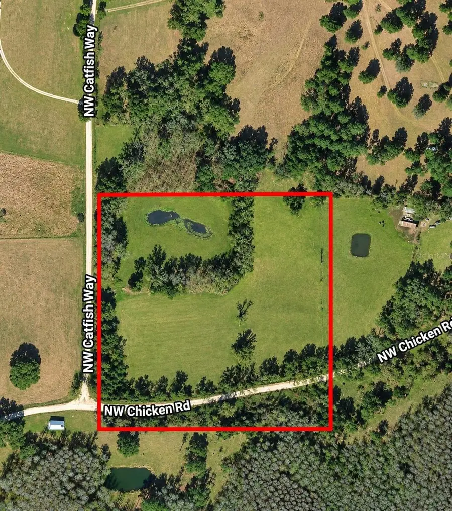 NW Chicken Road, Madison, FL 32340 - #2