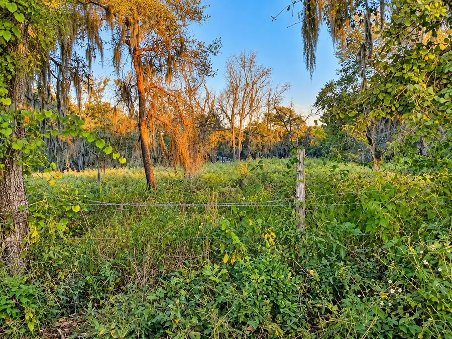 NW Chicken Road, Madison, FL 32340 - #3
