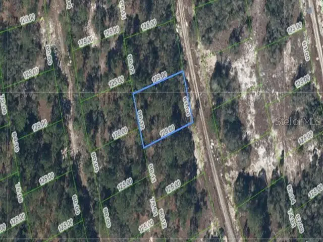214 Island Mist Drive, Lake Placid, FL 33852 - #2