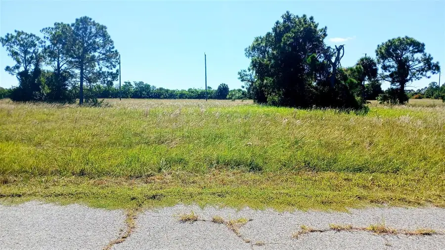 13732 Walleye Way, Placida, FL 33946 - #3