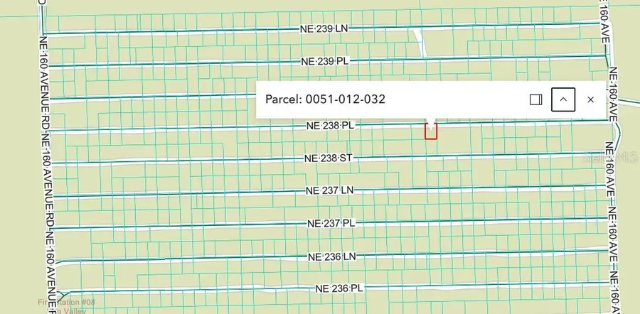 Ne 238th Pl, Fort McCoy, FL 32134 - #2