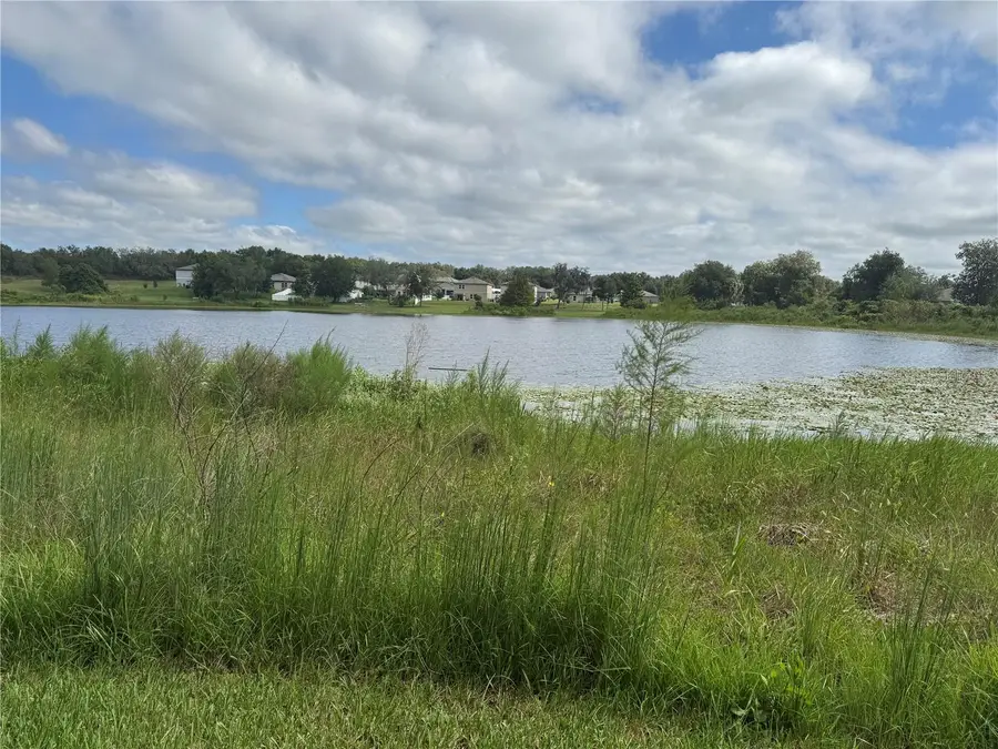 15849 Surfbird Court, Mascotte, FL 34753 - #2