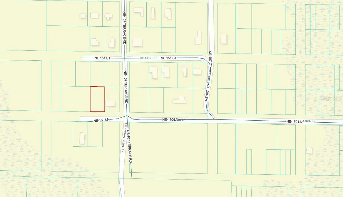 00000 NE 150th Lane, Fort McCoy Anthony, FL 32134 - #1