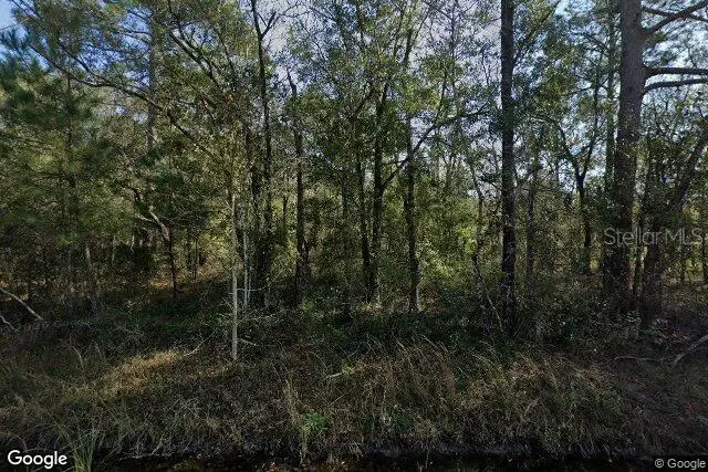 10100 Vaughan Avenue, Hastings, FL 32145 - #1