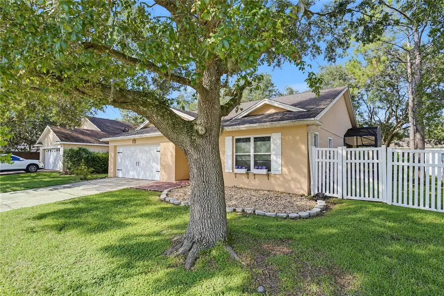1210 Brandy Lake View Circle, Winter Garden, FL 34787 - #3