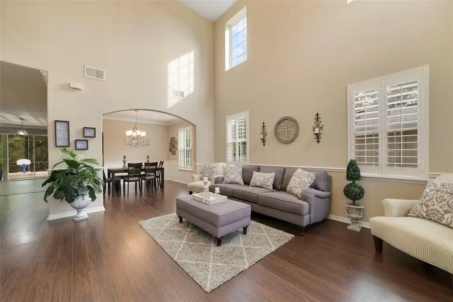 706 Fringe Tree Court, Deland, FL 32724 - #2
