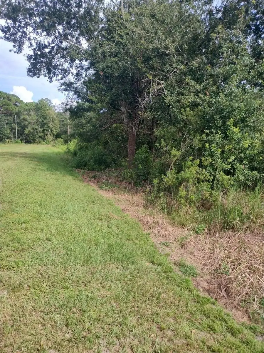 2900 W Shula Road, Avon Park, FL 33825 - #2