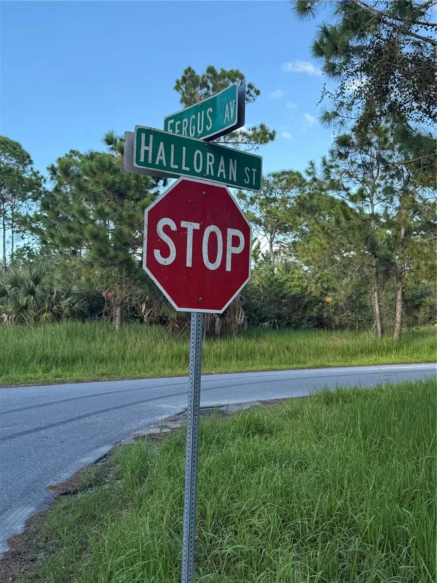 Fergus Avenue, Palm Bay, FL 32909 - #3