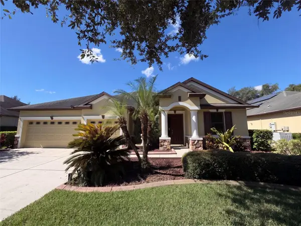 20009 Outpost Point Drive, TAMPA, FL 33647