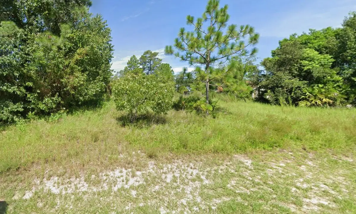 10533 Noddy Tern Road, Weeki Wachee, FL 34613 - #1