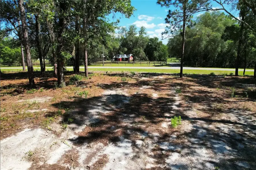 SE County Road 337, Morriston, FL 32668 - #3