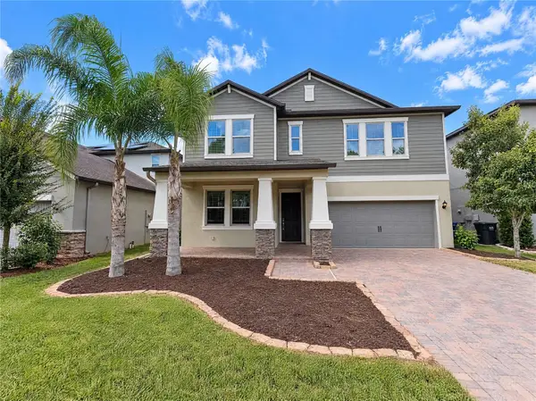 6244 English Hollow Road, TAMPA, FL 33647