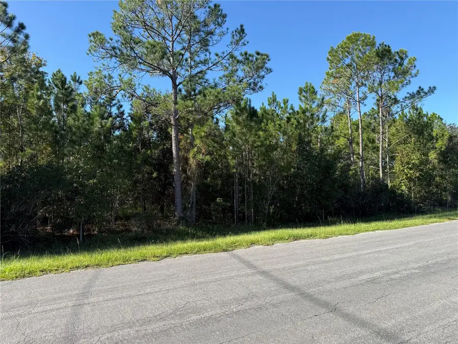 Reynolds Parkway, Orlando, FL 32833 - #2