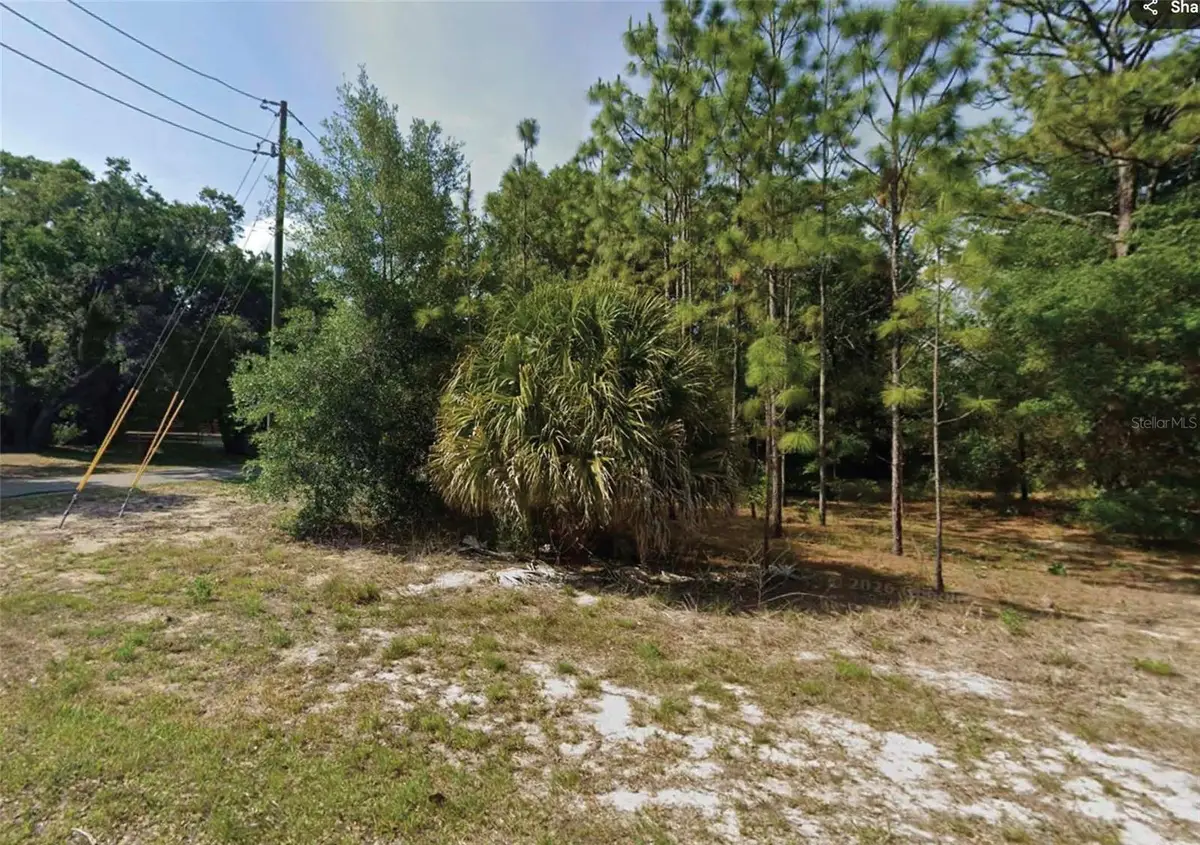 SW 86th Street, Dunnellon, FL 34431 - #1