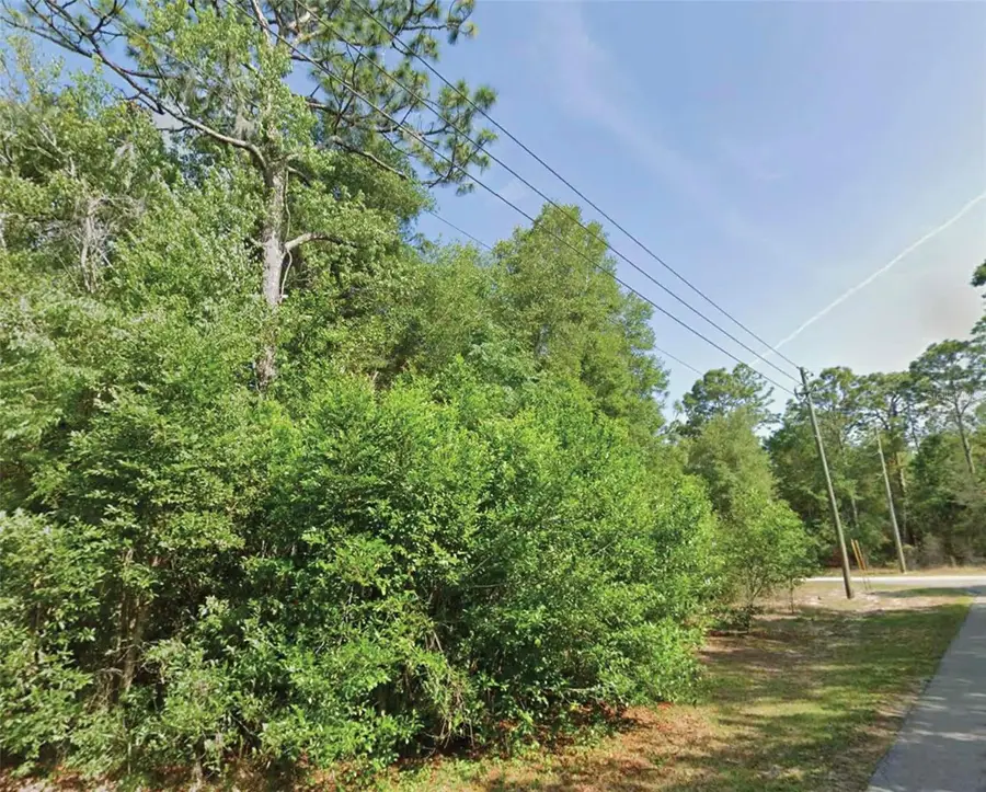 SW 86th Street, Dunnellon, FL 34431 - #2