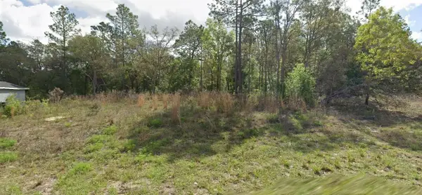 8445 N Janeaux Drive, CITRUS SPRINGS, FL 34434