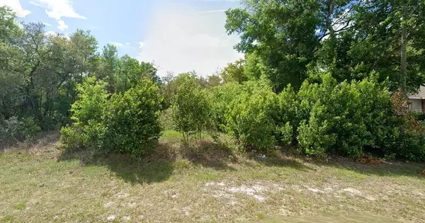8278 N Triana Drive, CITRUS SPRINGS, FL 34434