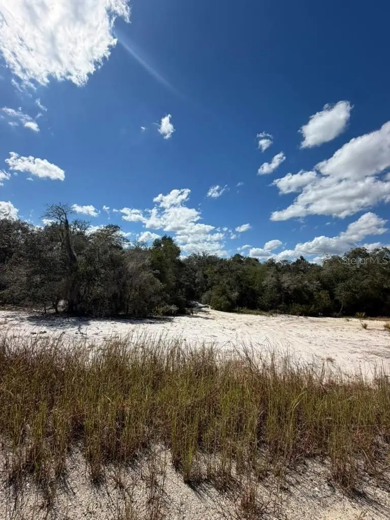 244 Dargen Drive, Lake Placid, FL 33852 - #2