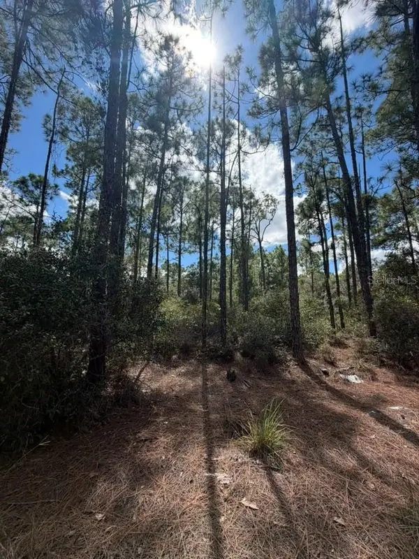 421 Amorous Avenue, LAKE PLACID, FL 33852
