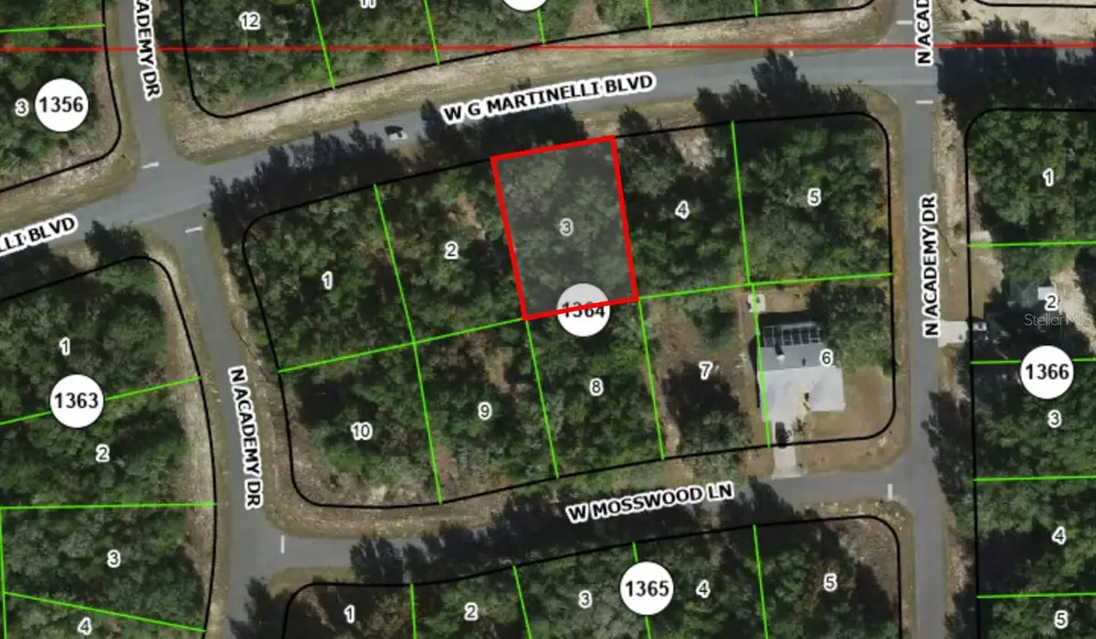 1402 W G Martinelli Boulevard, Citrus Springs, FL 34434 - #1