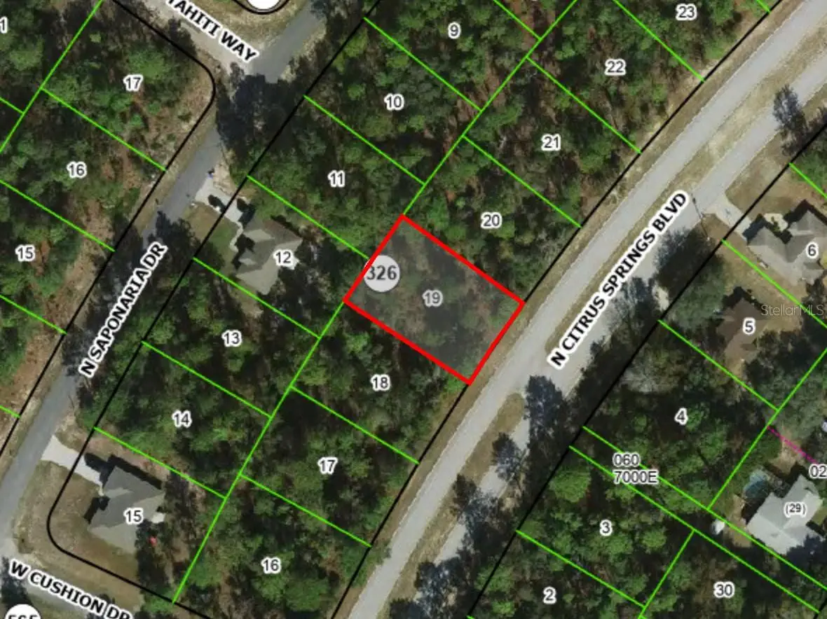 9170 N Citrus Springs Boulevard, Citrus Springs, FL 34433 - #1