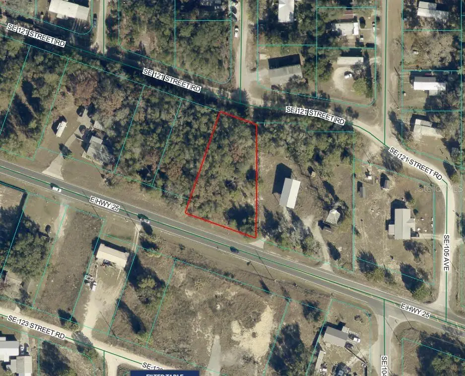 E Hwy 25, Belleview, FL 34420 - #1