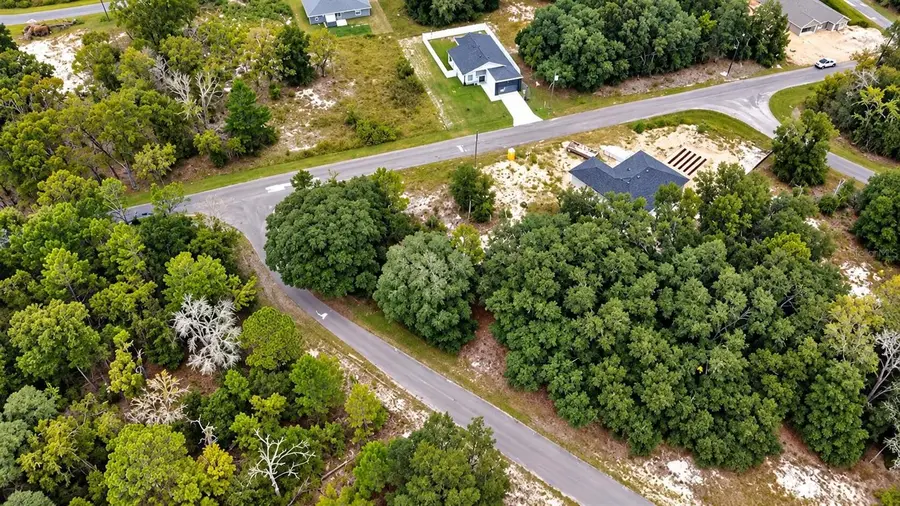 0 Guava Lane, Ocklawaha, FL 32179 - #3
