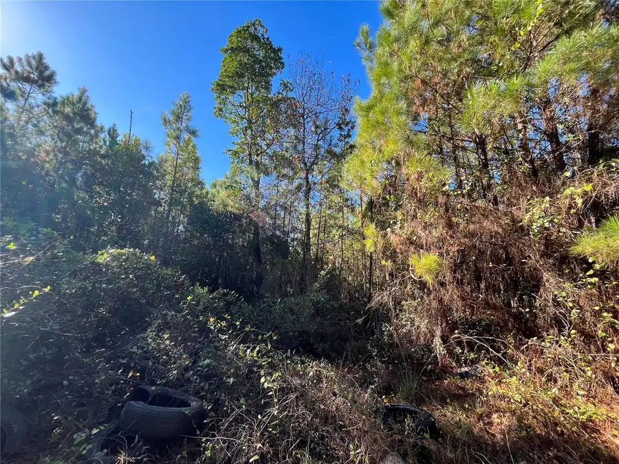 223 Mourning Dove Road, Satsuma, FL 32189 - #2
