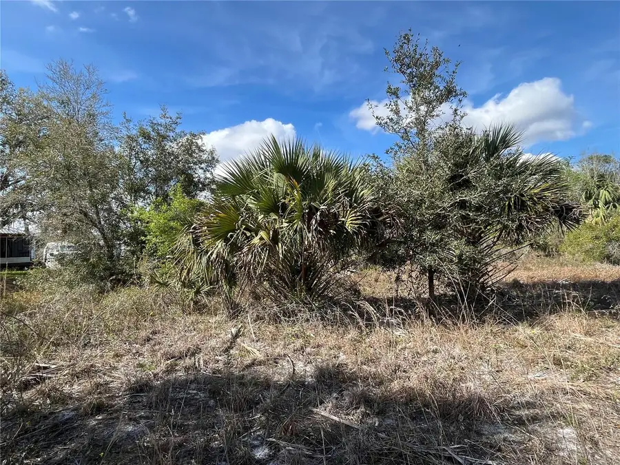 14667 NW 294th Street, Okeechobee, FL 34972 - Image #3