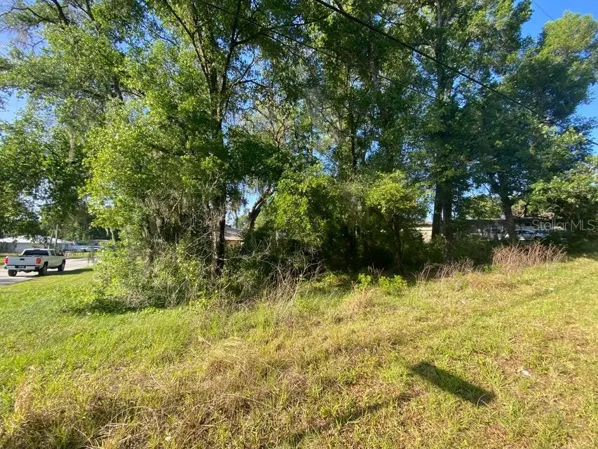 1020 Maple Avenue, Inverness, FL 34452 - Image #3