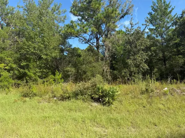 Tbd 79th Terrace Road, DUNNELLON, FL 34432