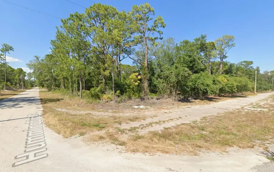 1001 Hummingbird Street, Lake Placid, FL 33852 - Image #2