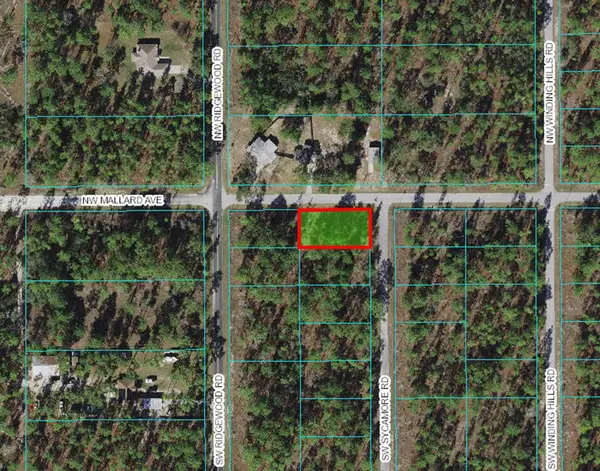 NW Mallard Ave & Sw Sycamore Rd, DUNNELLON, FL 34431