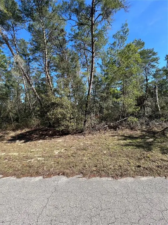 SW 55th Court Road, Ocala, FL 34473 - Image #2
