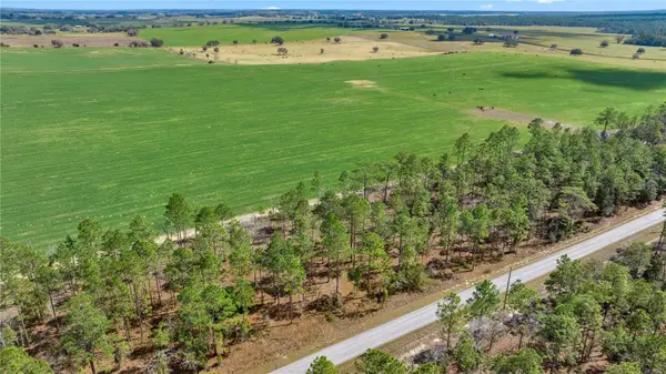 Blk 35, Lot 25 NW Buena Vista Road, DUNNELLON, FL 34431